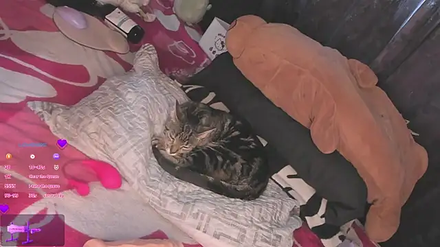 Snapshot of MiaGoth_ chatting on September 13, 9:14 pm MiaGoth online show from September 13, 9:14 pm