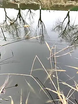 huzi518 online show from February 27, 6:50 am