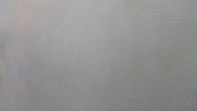 JESSYCORTES online show from January 15, 8:48 pm