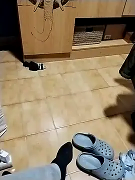 minitranca online show from October 26, 11:20 pm