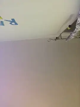 Meliss Official9 online show from October 27, 8:46 pm