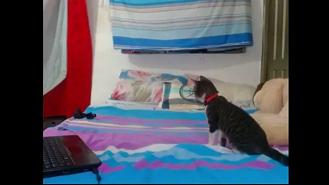 perverted couple - online show from December 23, 1:08 am