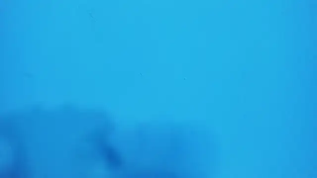 Snapshot of _hairybeard_ chatting on February 20, 9:22 am hairybeard online show from February 20, 9:22 am