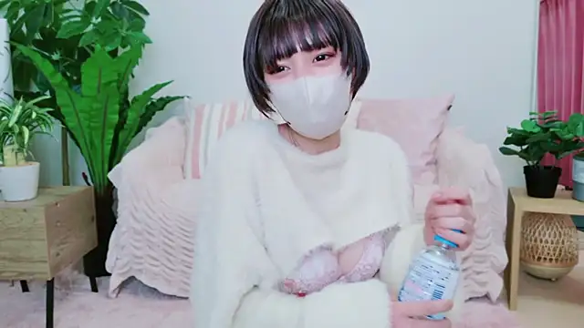 cohaku 329 online show from February 22, 11:13 am