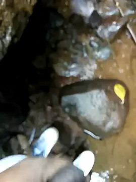 Snapshot of dpkpaksudda chatting on September 24, 7:12 am dpkpaksudda online show from September 24, 7:12 am