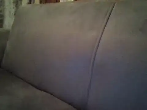 lisa larry88 online show from January 4, 8:27 pm