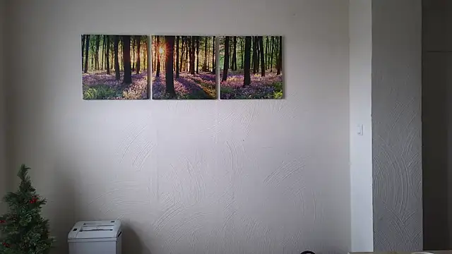 Harry Boldt online show from December 30, 10:10 am