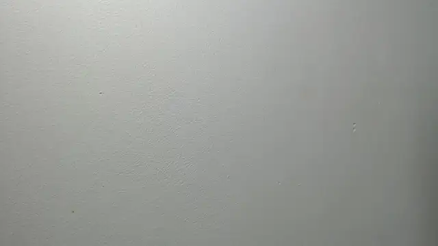 Snapshot of sussy_leon chatting on February 27, 12:34 pm sussy leon online show from February 27, 12:34 pm