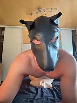 PlayDog123 online show from October 16, 2:29 pm