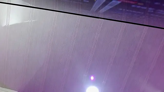 Aurora blossom   online show from December 27, 12:34 pm