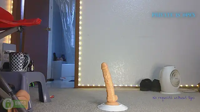 Snapshot of SlammyDjr chatting on March 14, 8:28 pm SlammyDjr online show from March 14, 8:28 pm