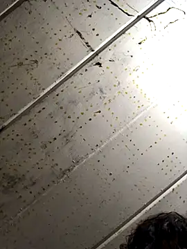 macg96 online show from December 4, 7:17 am