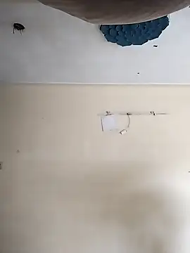 heartless  95 online show from October 20, 3:29 am