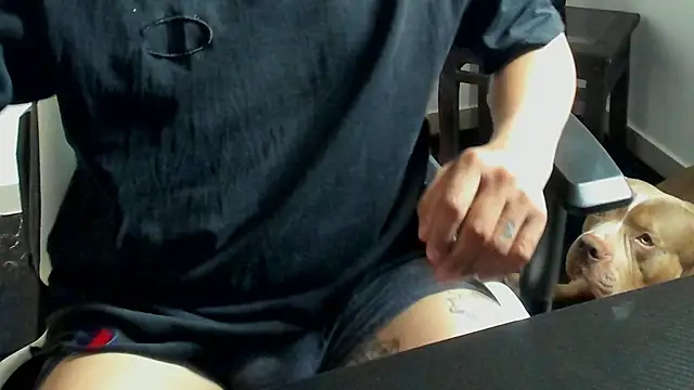 stebankechima online show from October 15, 12:38 pm