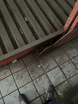 Snapshot of A-mira chatting on March 21, 9:56 am A-mira online show from March 21, 9:56 am