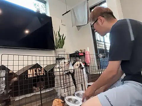 kensnb online show from September 27, 10:04 pm