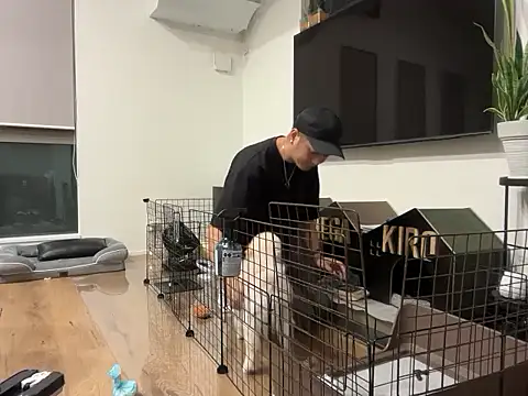 kensnb online show from October 8, 9:29 am