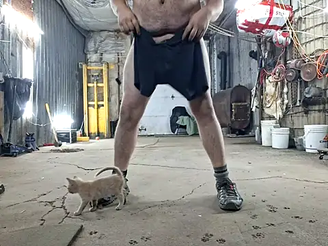 Frankdick01 online show from November 8, 4:12 am