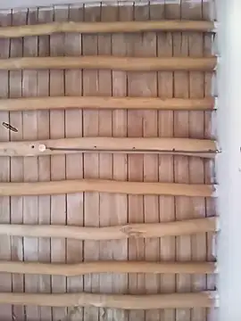 Snapshot of Atabey_65 chatting on December 3, 12:03 pm Atabey 65 online show from December 3, 12:03 pm