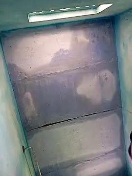 Andrapradesh online show from October 13, 8:58 am