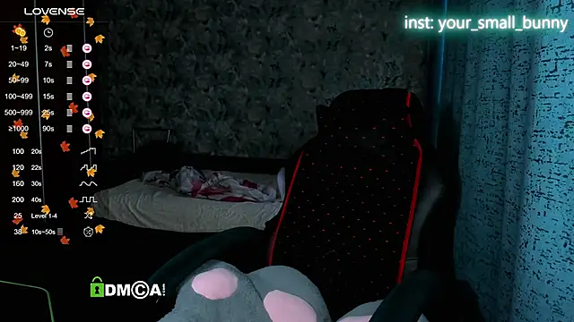 Snapshot of Your_small_bunny chatting on November 15, 2:09 am Your small bunny online show from November 15, 2:09 am