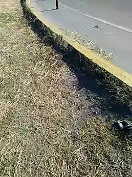 Alysson-- online show from January 20, 1:00 pm