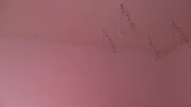 Snapshot of Miss_oliviaa chatting on January 3, 11:01 pm Miss oliviaa online show from January 3, 11:01 pm