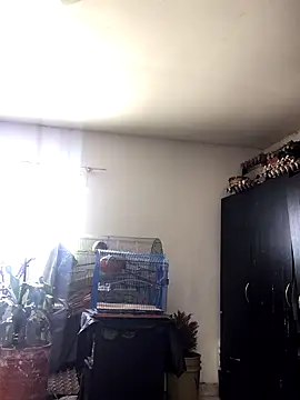 Snapshot of Miss_oliviaa chatting on October 22, 2:06 pm Miss oliviaa online show from October 22, 2:06 pm