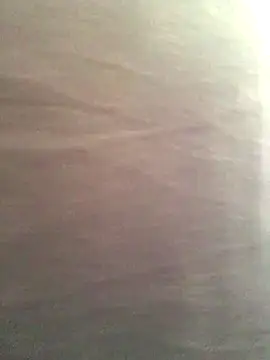 Snapshot of Miss_oliviaa chatting on November 13, 3:33 pm Miss oliviaa online show from November 13, 3:33 pm