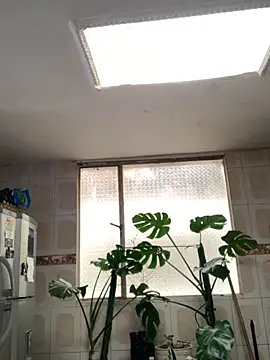 Snapshot of Miss_oliviaa chatting on November 26, 5:14 pm Miss oliviaa online show from November 26, 5:14 pm