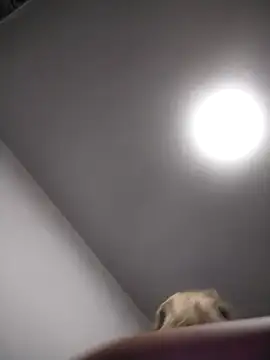 Snapshot of AudreySosa chatting on March 13, 8:04 am AudreySosa online show from March 13, 8:04 am