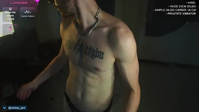 Snapshot of mickeypict chatting on December 12, 2:26 am mickeypict online show from December 12, 2:26 am