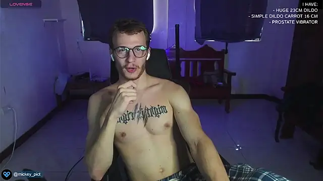 Snapshot of mickeypict chatting on December 28, 4:19 am mickeypict online show from December 28, 4:19 am