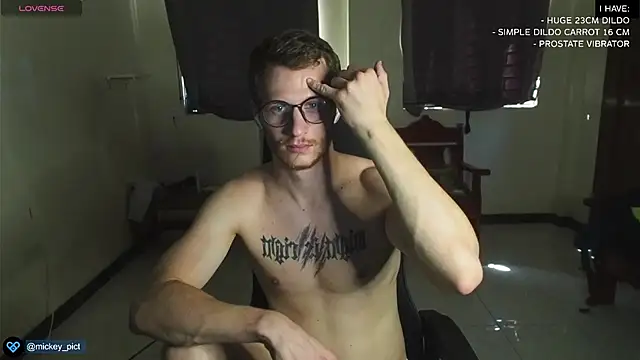 Snapshot of mickeypict chatting on December 29, 6:03 am mickeypict online show from December 29, 6:03 am