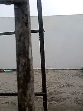 nick05inch online show from September 13, 12:16 pm