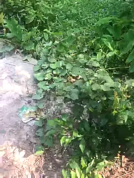 GapingConker online show from November 9, 7:50 am