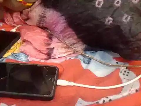 naina-80 online show from January 13, 7:43 am