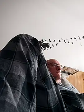 bogland33 online show from October 4, 12:14 pm