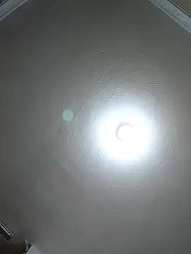 evafoxs online show from March 22, 11:20 pm