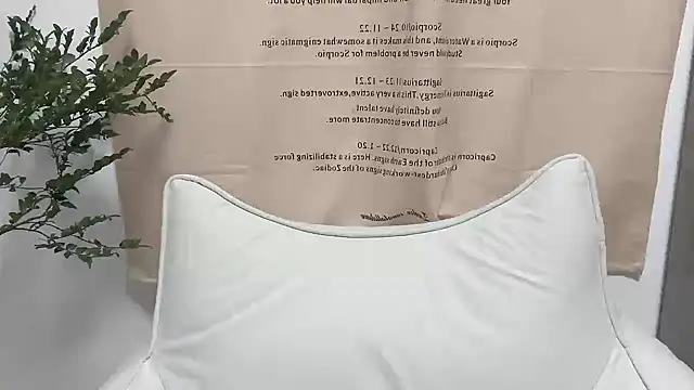 Snapshot of Arrebo1 chatting on December 4, 2:37 pm Arrebo1 online show from December 4, 2:37 pm