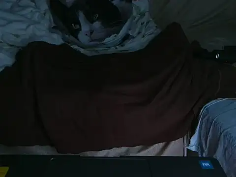 VeneRed online show from October 4, 9:24 pm