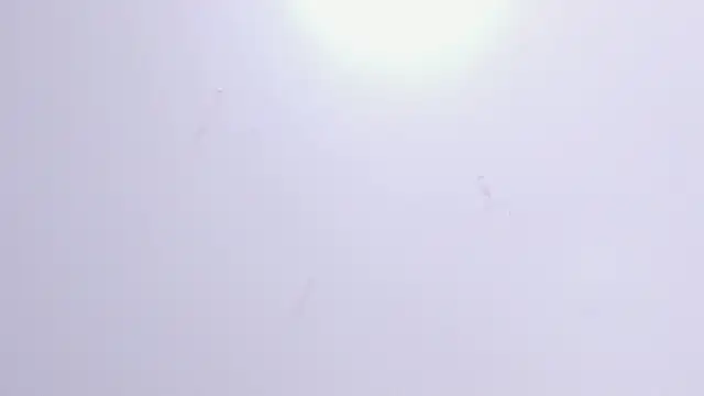 Violet Grace online show from February 17, 6:26 pm