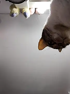 DannaDooll99 online show from March 6, 10:52 am