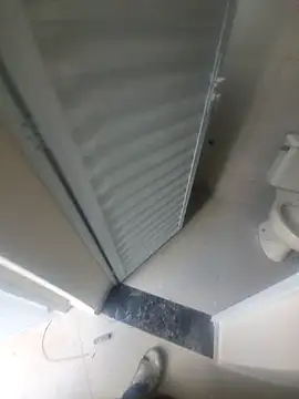 janjuniior online show from December 16, 12:54 pm