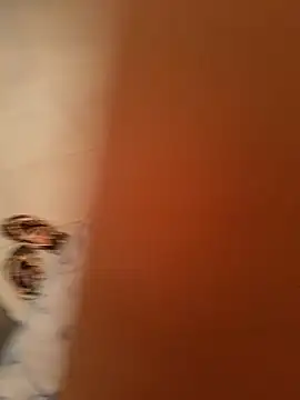 Aya germany online show from February 11, 7:05 pm