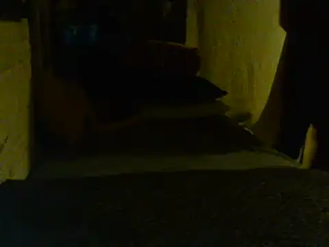 Snapshot of Gman143187 chatting on February 2, 9:08 am Gman143187 online show from February 2, 9:08 am