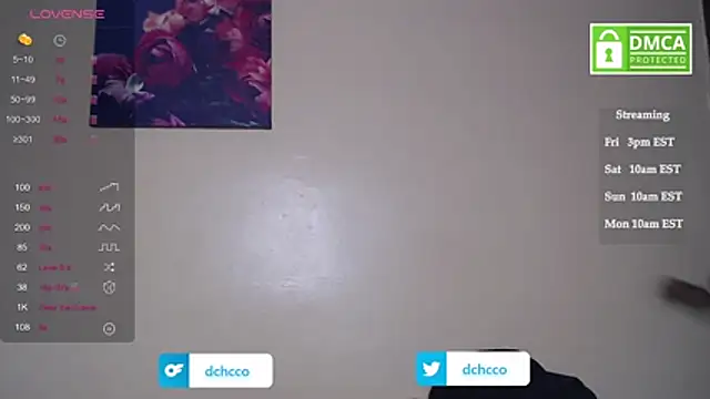 Snapshot of dchcco chatting on November 7, 8:09 pm dchcco online show from November 7, 8:09 pm