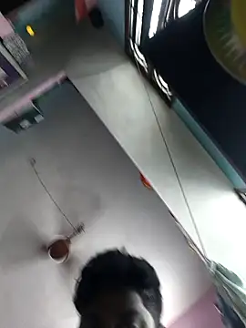 Snapshot of Whiskyboye chatting on October 2, 5:14 am Whiskyboye online show from October 2, 5:14 am