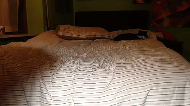 MASTERBULLY online show from February 19, 11:36 pm