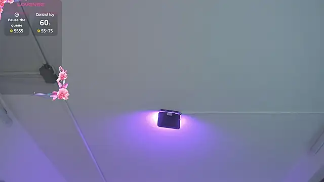 Snapshot of Meelanny_ds chatting on December 20, 4:42 am Meelanny ds online show from December 20, 4:42 am